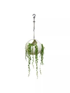 Exaco Euro Hanging Planters, Set Of 2 -Garden Serie Store 8599179 06V tif