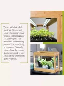 Bamboo Mini LED Grow Light Garden 20 Bamboo Mini LED Grow Light Garden -Garden Serie Store 8599624 06