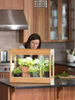 Bamboo Mini LED Grow Light Garden 15 Bamboo Mini LED Grow Light Garden -Garden Serie Store 8599624 12532 tif