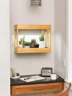 Bamboo Mini LED Grow Light Garden 14 Bamboo Mini LED Grow Light Garden -Garden Serie Store 8599624 12872 tif