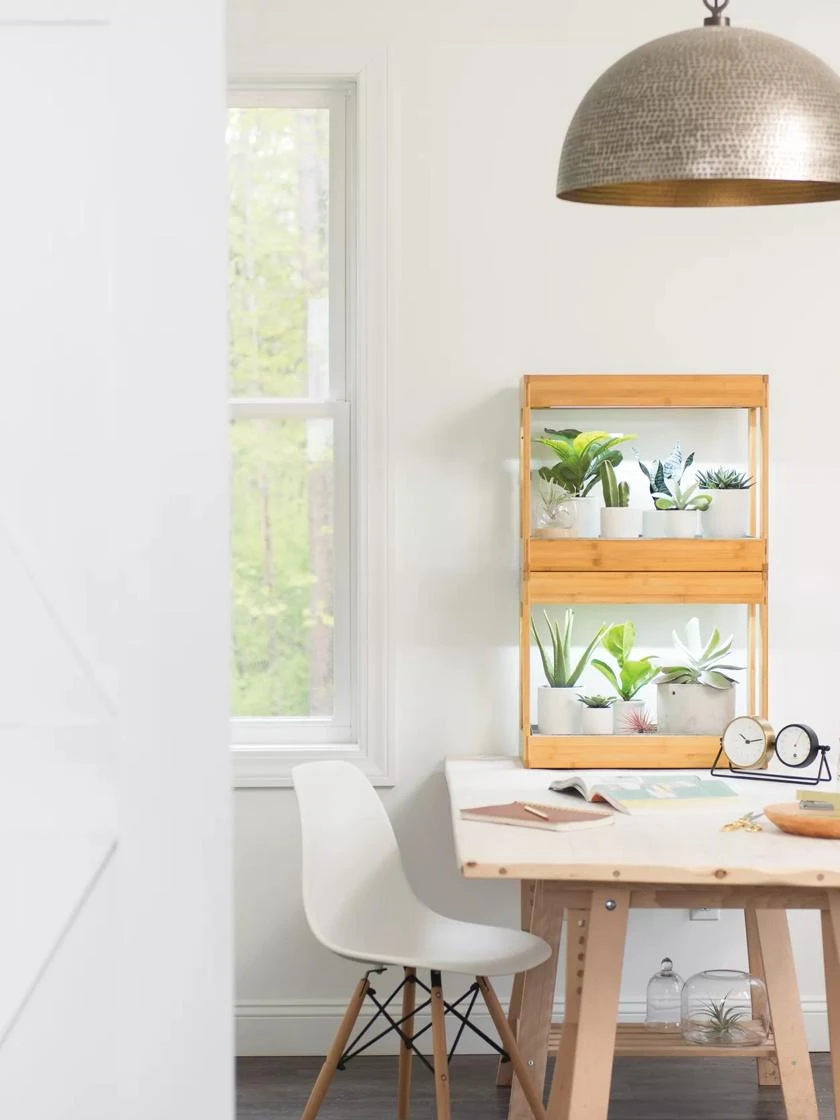 Bamboo Mini LED Grow Light Garden 7 Bamboo Mini LED Grow Light Garden - Image 5