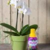 Espoma Orchid! Plant Food -Garden Serie Store 8599783 18431 tif
