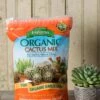Espoma Cactus Potting Mix, 4 Quart -Garden Serie Store 8599789 18448 tif