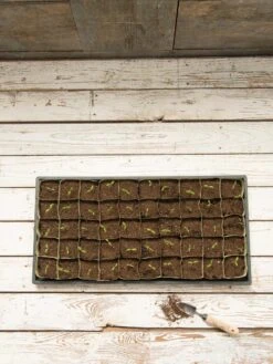 Paper Pots, 50 Cell 12 Paper Pots, 50 Cell -Garden Serie Store 8599830 18489 tif