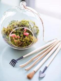 Terrarium Tools, Set Of 4 -Garden Serie Store 8599884 01V tif