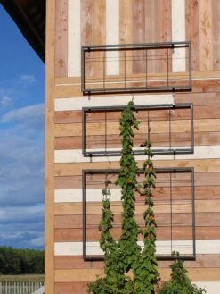 New Products 1 Exeter Wall Trellis