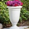Ellington Self-Watering Urn Planter, 24" -Garden Serie Store 8600110 12V tif