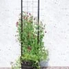 Gardener’s Victory Self-Watering Planter With Vine Trellis -Garden Serie Store 8600177 05490 tif