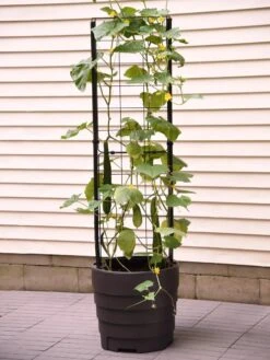 Gardener’s Victory Self-Watering Planter Garden With Vine Trellis -Garden Serie Store 8600177 9876 tif