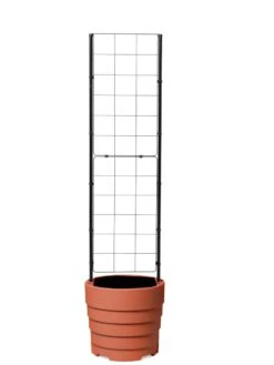 Gardener’s Victory Self-Watering Planter With Vine Trellis -Garden Serie Store 8600178 7000 tif