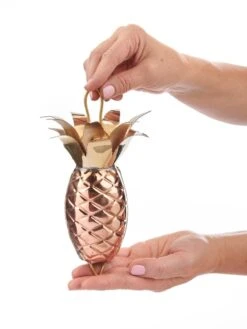 Pineapple Pure Copper Rain Chain, 8.5' -Garden Serie Store 8600210 03v