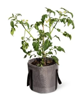 Reinforced Colorful Grow Bags 13 Reinforced Colorful Grow Bags -Garden Serie Store 8600229 0944 tif