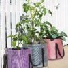 Reinforced Colorful Grow Bags -Garden Serie Store 8600229 19957 tif
