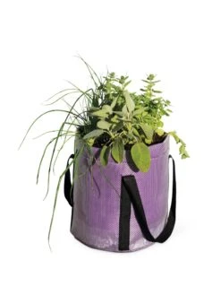 Reinforced Colorful Grow Bags 10 Reinforced Colorful Grow Bags -Garden Serie Store 8600230 0948 tif