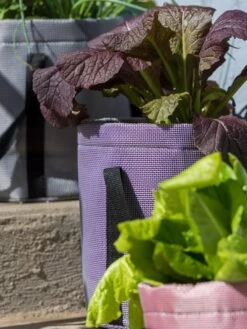 Reinforced Colorful Grow Bags 11 Reinforced Colorful Grow Bags -Garden Serie Store 8600230 20013 tif