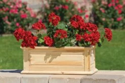 Savannah Window Boxes -Garden Serie Store 8600461 04V tif