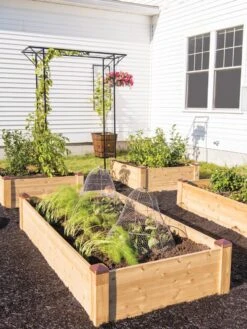 Copper Cap Raised Beds -Garden Serie Store 8600497 0530 tif