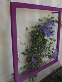 Ina Modern Wall Trellis Jr. 15 Ina Modern Wall Trellis Jr. -Garden Serie Store 8600512 01V tif