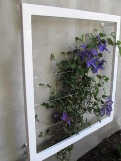 Ina Modern Wall Trellis Jr. 13 Ina Modern Wall Trellis Jr. -Garden Serie Store 8600512 03V tif