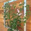 Ina Modern Wall Trellis Jr. -Garden Serie Store 8600512 07V tif