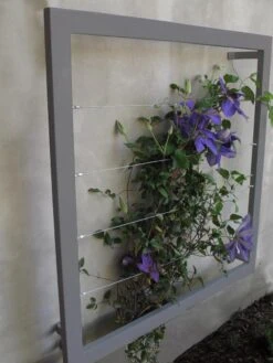 Ina Modern Wall Trellis Jr. 12 Ina Modern Wall Trellis Jr. -Garden Serie Store 8600512 08V jpg