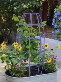 Toki Bubble Trellis -Garden Serie Store 8600520 02V tif