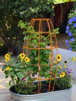 Toki Bubble Trellis -Garden Serie Store 8600520 03V tif