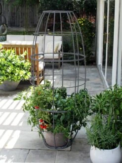 Toki Bubble Trellis -Garden Serie Store 8600520 07V jpg