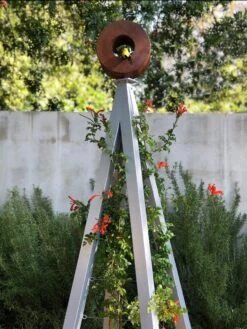 Bird Cafe + Akoris Garden Tuteur Jr. 17 Bird Cafe + Akoris Garden Tuteur Jr. -Garden Serie Store 8600525 07v 1