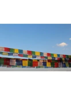 Tibetan Prayer Flags -Garden Serie Store 8600646 01v