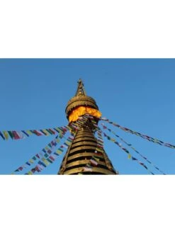 Tibetan Prayer Flags -Garden Serie Store 8600646 04v