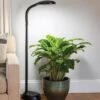 Agrobrite Floor LED Plant Lamp -Garden Serie Store 8608870 0308 tif
