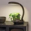 Agrobrite Desktop LED Plant Lamp -Garden Serie Store 8608871 0345 tif