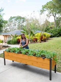 Self-Watering Eco-Stained Elevated Planter Box, 2' X 8' -Garden Serie Store 8608965 6069 tif