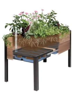 Self-Watering Eco-Stained Elevated Planter Box, 2' X 8' -Garden Serie Store 8609009 SW insert art 2021 tif