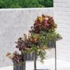 Galvanized Grow Bag Triple Planters With Stand -Garden Serie Store 8609180 0346 tif
