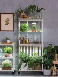 Oslo 4-Tier LED Grow Light Garden -Garden Serie Store 8609188 4118 tif