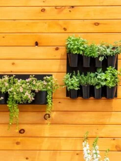 8 Pot Metal Wall Planter -Garden Serie Store 8609195 6250 tif