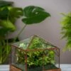 Art Decco Copper And Glass Terrariums -Garden Serie Store 8609210 0318 tif