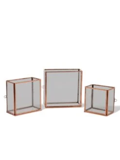 Copper And Glass Terrariums, Set Of 3 -Garden Serie Store 8609212 0851 tif