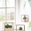 Copper And Glass Terrariums, Set Of 3 -Garden Serie Store 8609212 2964 tif