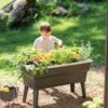 Calipso 3-in-1 Kids Gardening Self-Watering Planter Kit 1 Calipso 3-in-1 Kids Gardening Self-Watering Planter Kit -Garden Serie Store 8609217 0333 tif