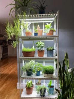 Oslo 4-Tier LED Grow Light Garden -Garden Serie Store 8609220 03IN tif