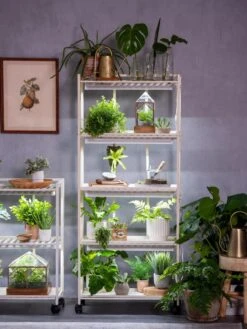 Oslo 4-Tier LED Grow Light Garden -Garden Serie Store 8609220 4116 tif