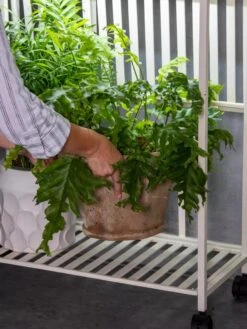 Oslo 2-Tier LED Grow Light Garden, 2 Fixtures 23 Oslo 2-Tier LED Grow Light Garden, 2 Fixtures -Garden Serie Store 8609220 4122 tif