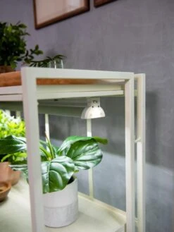 Oslo 2-Tier LED Grow Light Garden, 2 Fixtures 18 Oslo 2-Tier LED Grow Light Garden, 2 Fixtures -Garden Serie Store 8609221 4101 tif