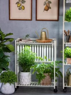 Oslo 2-Tier LED Grow Light Garden, 2 Fixtures 21 Oslo 2-Tier LED Grow Light Garden, 2 Fixtures -Garden Serie Store 8609221 7236 tif