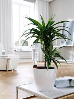 Hydro Wine Container Watering System, Set Of 4 -Garden Serie Store 8609224 02V tif