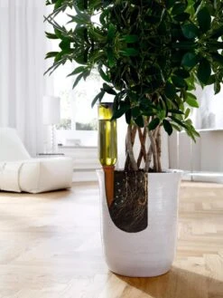 Hydro Wine Container Watering System, Set Of 4 -Garden Serie Store 8609224 04V tif