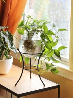 Achla Designs Multi Use Stand -Garden Serie Store 8609343 01v achla designs multi use stand